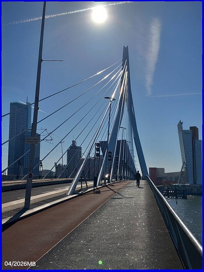 Erasmusbrug