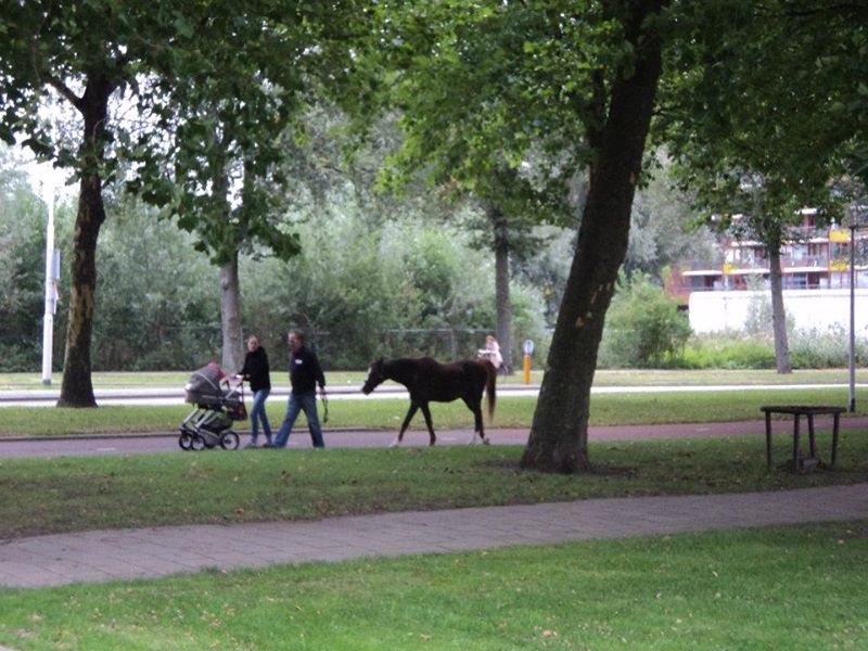 Prinsenlaan