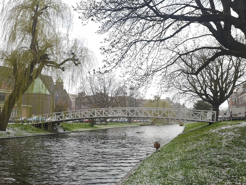Bergsingel