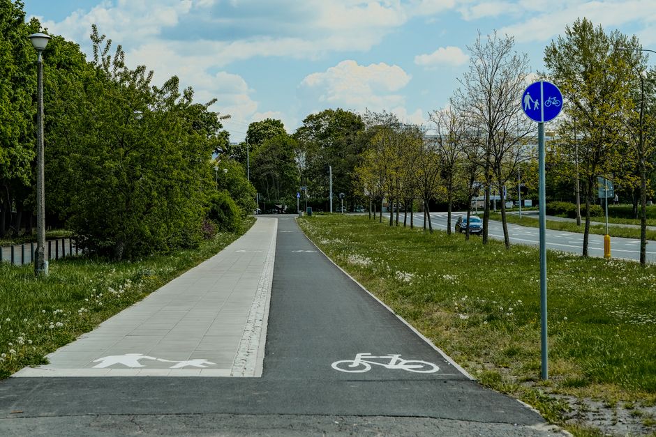 Zaanse Olifantenpaadjes II: Houtveldweg – Bossingschaaf