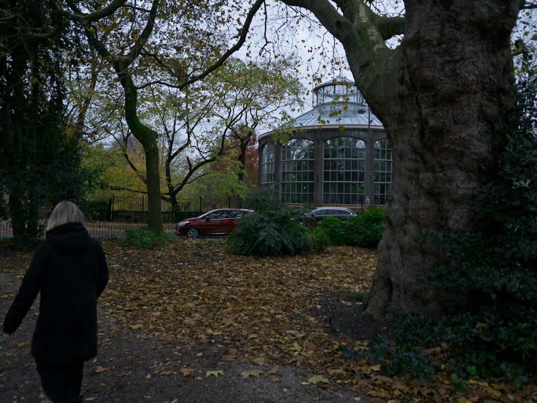 15 manieren om de herfst in Amsterdam-West te verwelkomen