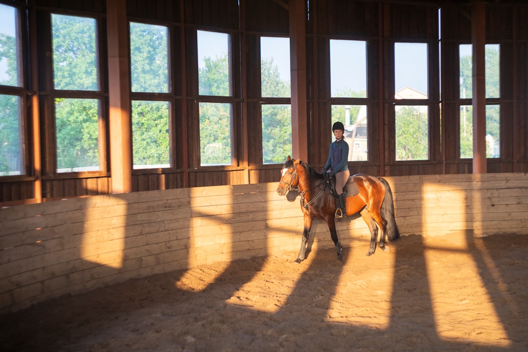 Weer Bathmen te Paard in manege ‘t Ruiterkamp - Salland Centraal