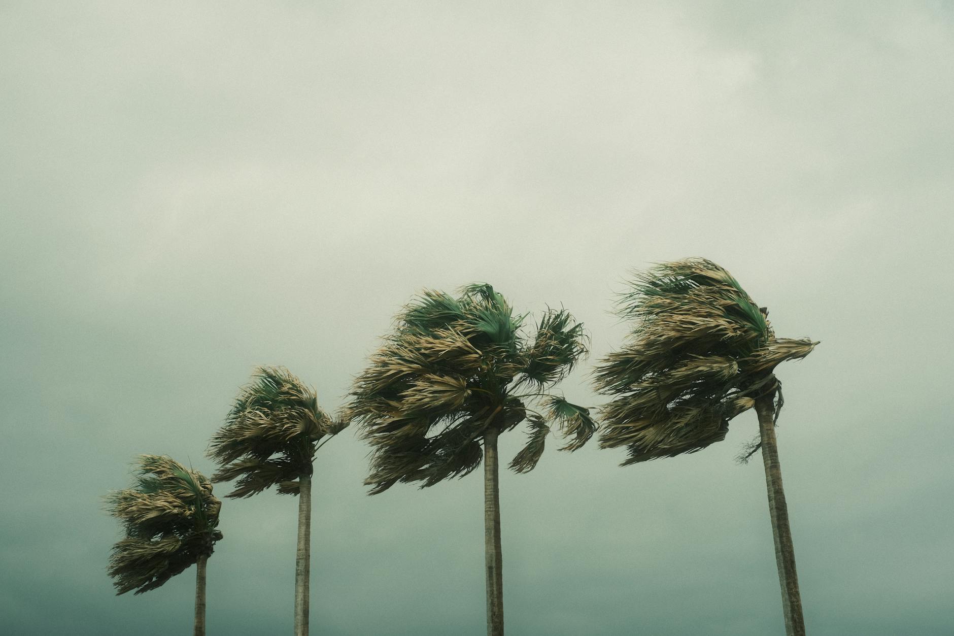 KNMI waarschuwt voor zware windstoten in Groningen
