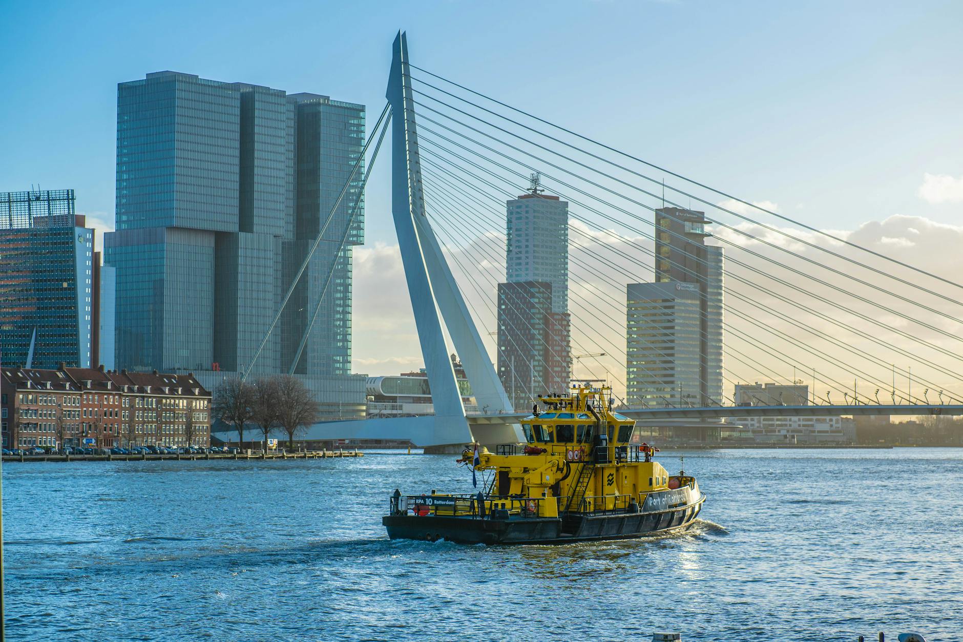 Kunst in havens Rotterdam Zuid: ‘Vroeger keek je alleen van Noord naar Zuid, nu ook andersom’