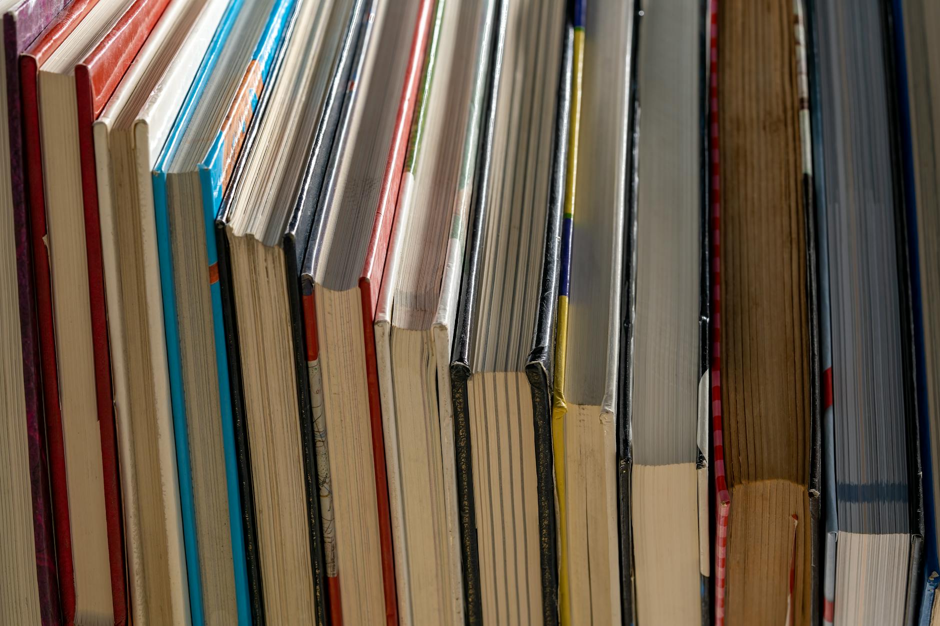 Iedereen in Den Haag kan gratis boeken lenen - Omroep West