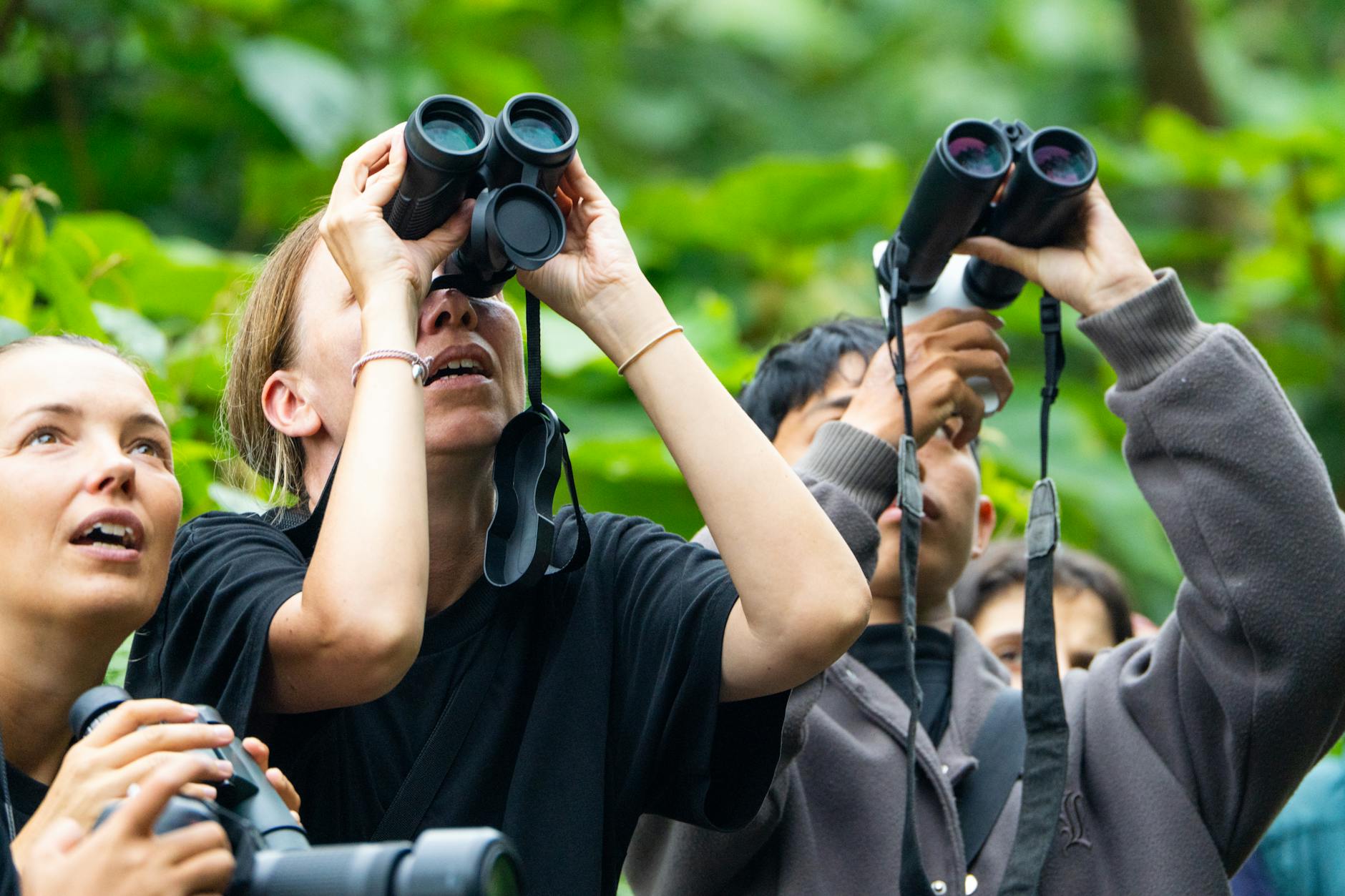 Activiteiten bij Natuur- en Vogelwacht Rotta