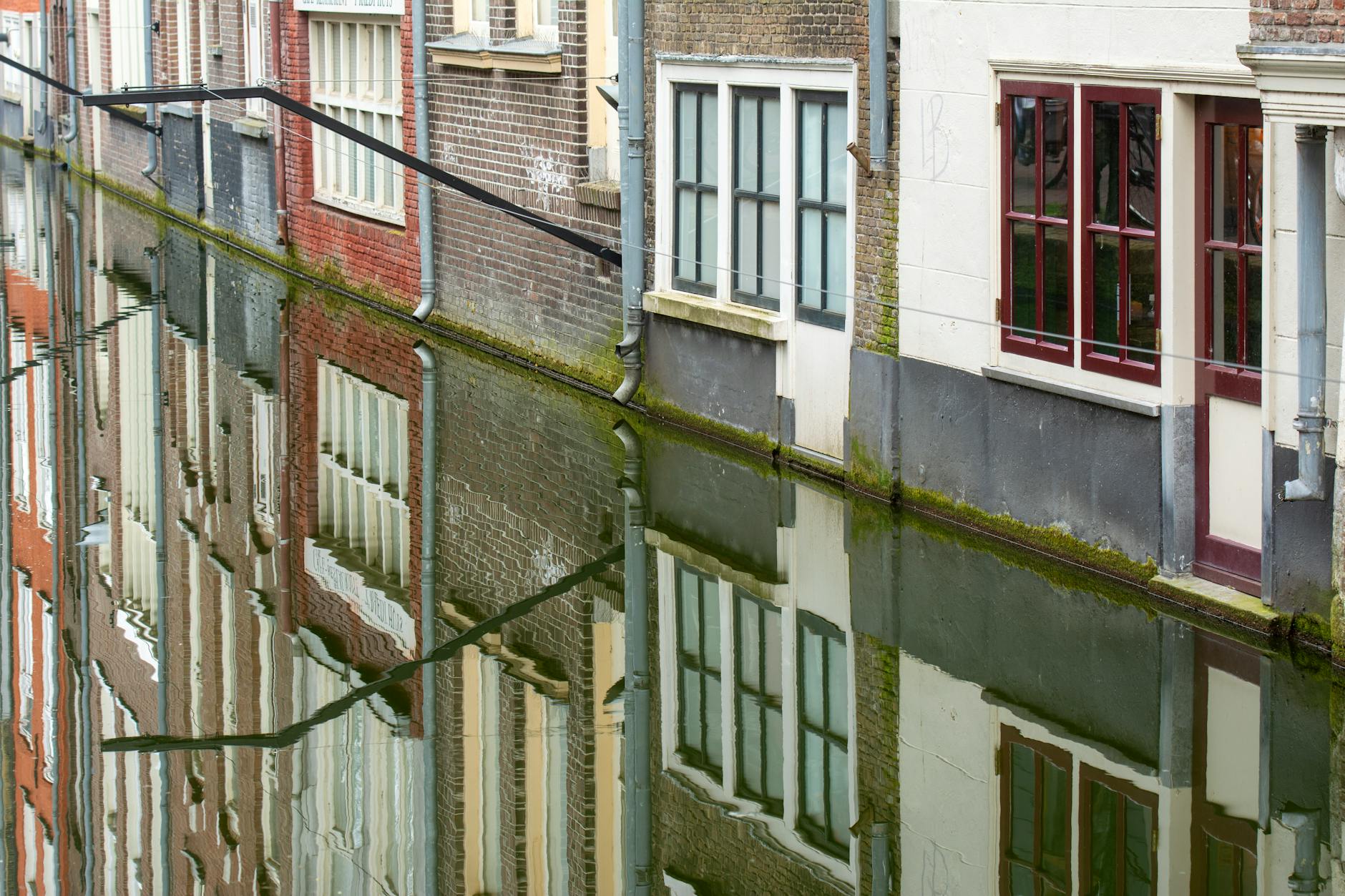 Delft op 12 Mei 2026 Uitagenda Activiteiten - DagjeWeg.NL