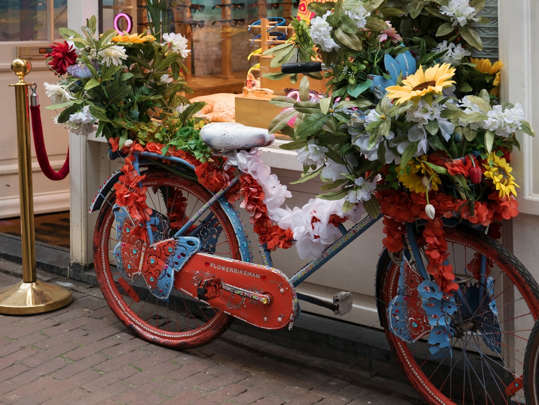 Op versierde fietsen naar de aubade in Ameide