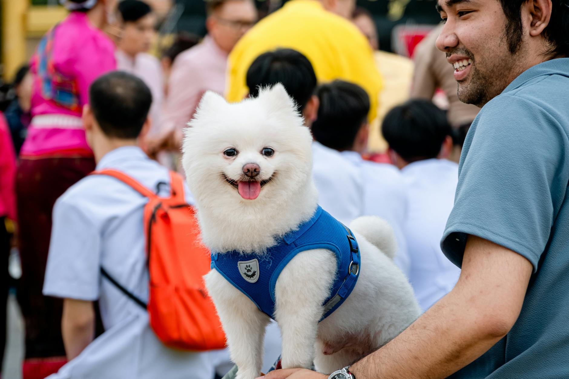 Verleende evenementenvergunning voor Honden Wonderland op 20 december 2026 aan Thorbeckeplein, Alphen aan den Rijn gmb-2026-219951
