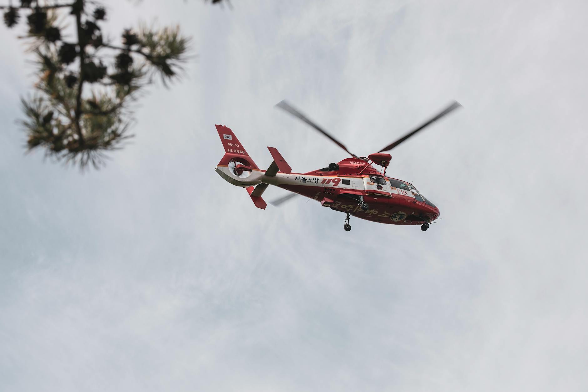 Man belt 112 om ‘steekwond’: politie, ambulances en traumahelikopter rukken uit… voor een duif