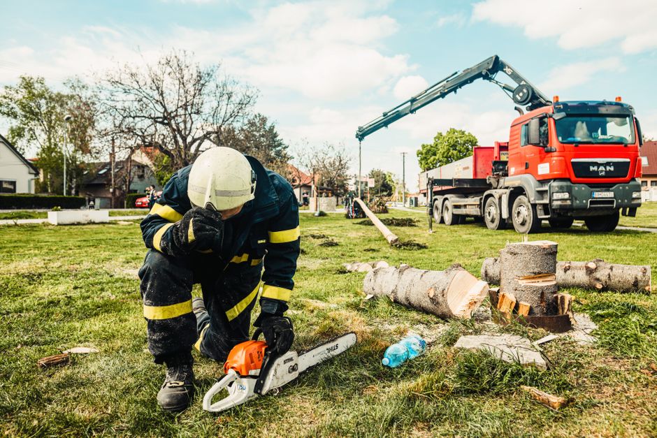 Aangevraagde omgevingsvergunning (kappen), Frans Bekkerstraat 98A 3082TX Rotterdam gmb-2026-504151