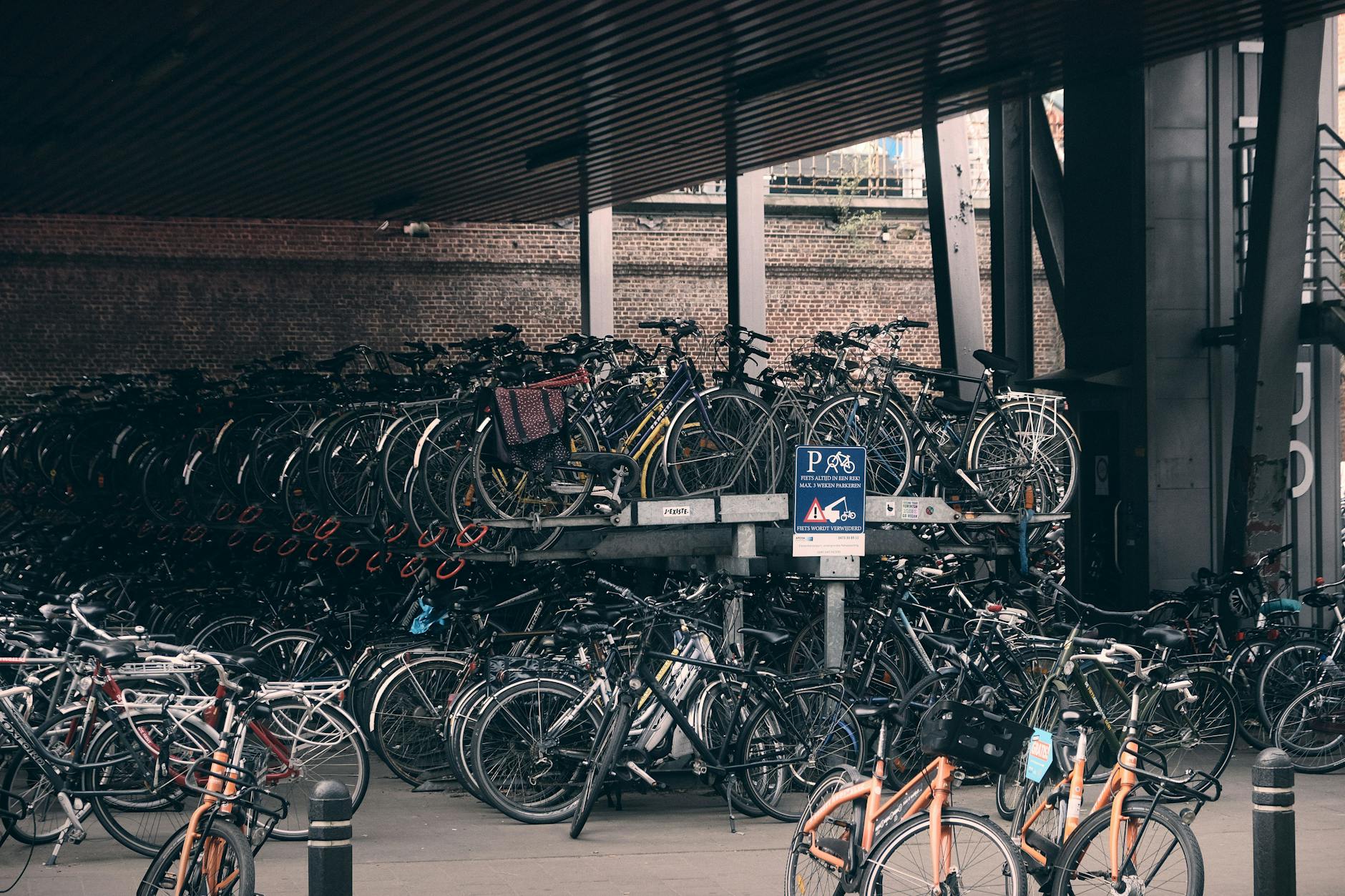 gmb-2026-219471 : Delft
