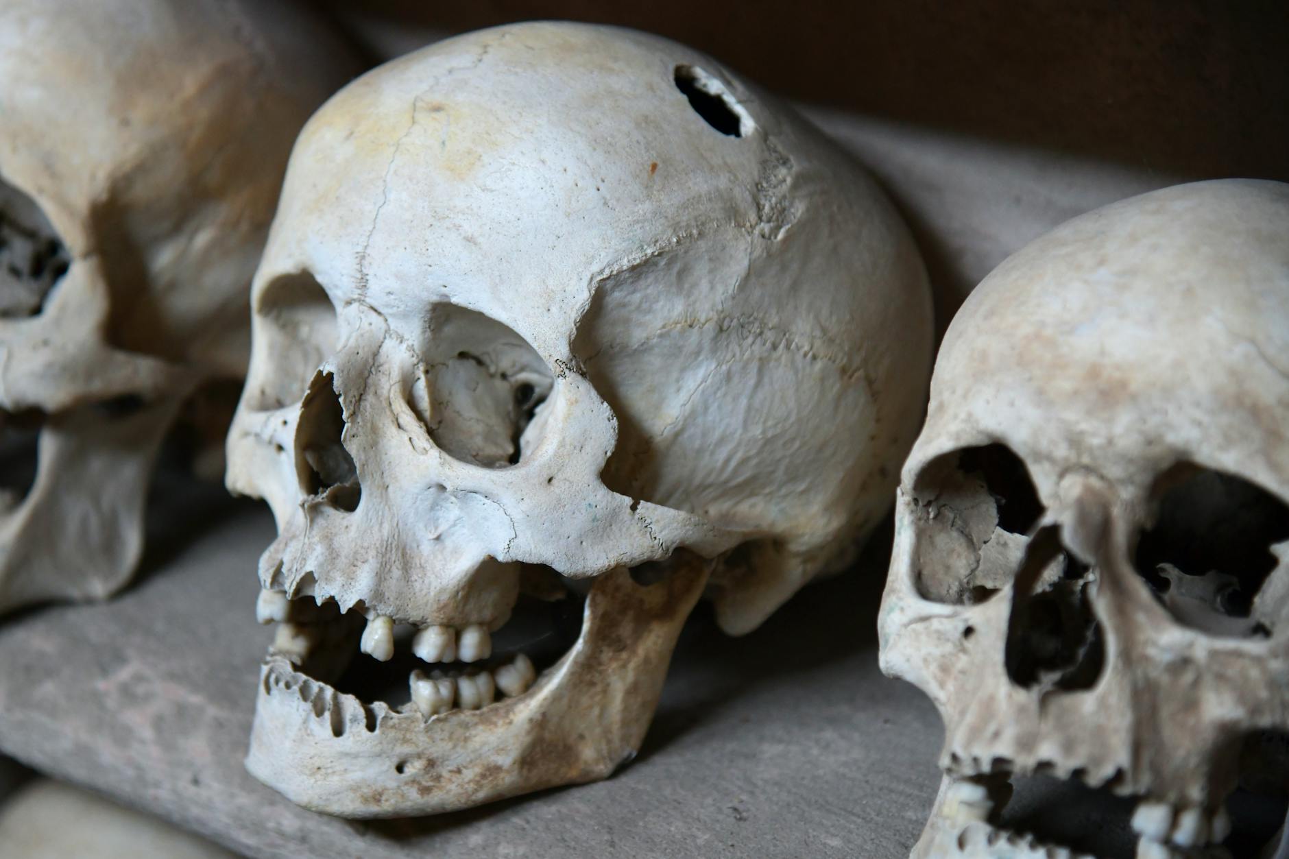 Gestolen schedel van Tsjechische heilige teruggevonden in stuk beton