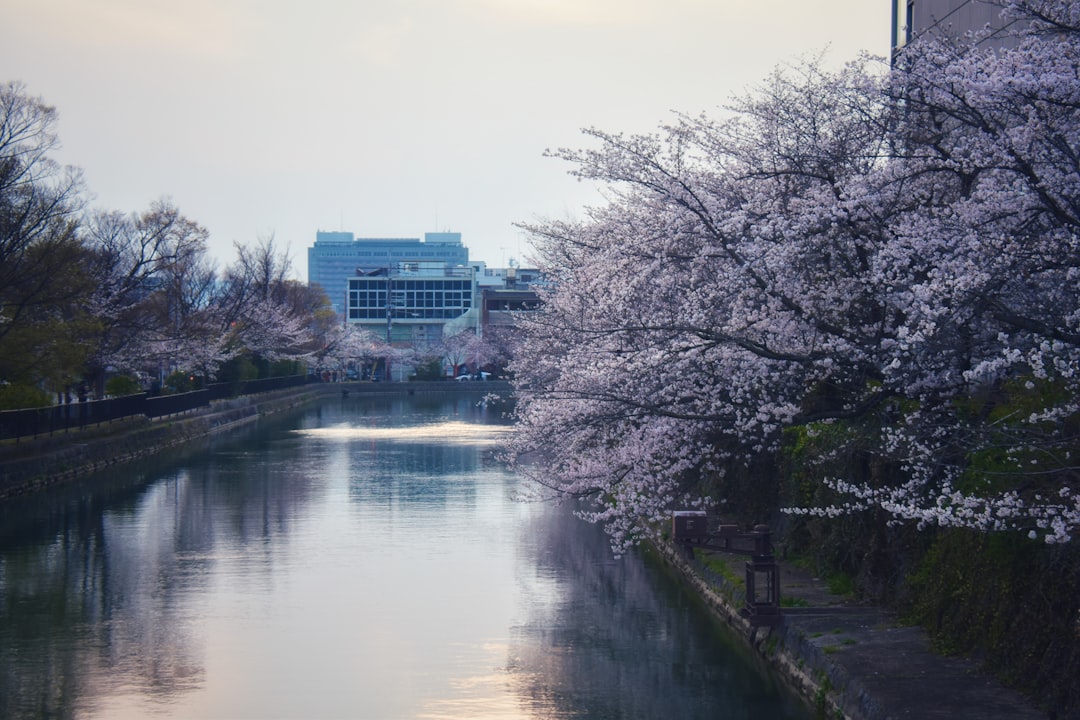 Lente aan de Veerhaven