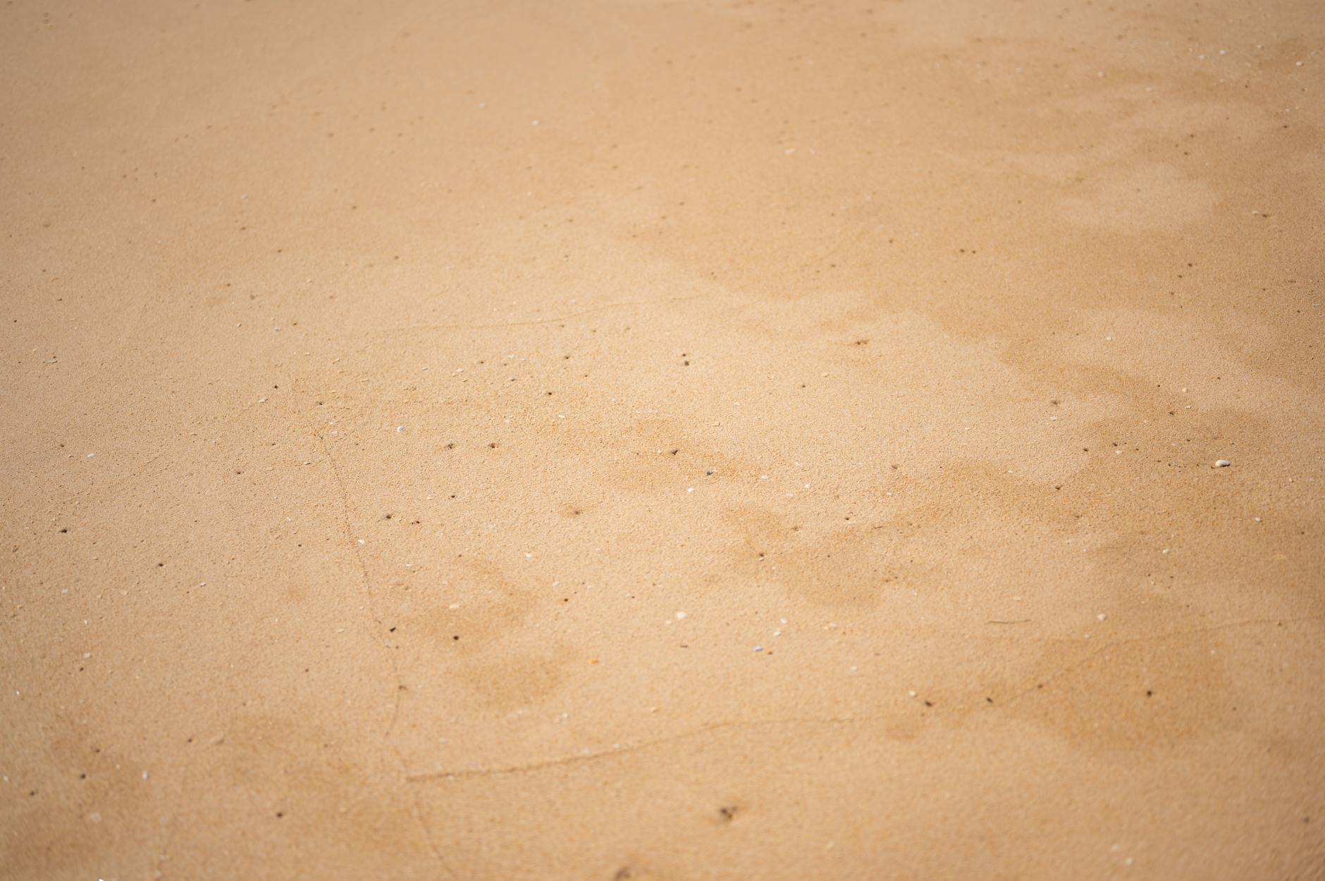Robots nemen 3 dagen het Scheveningse strand over - Den Haag