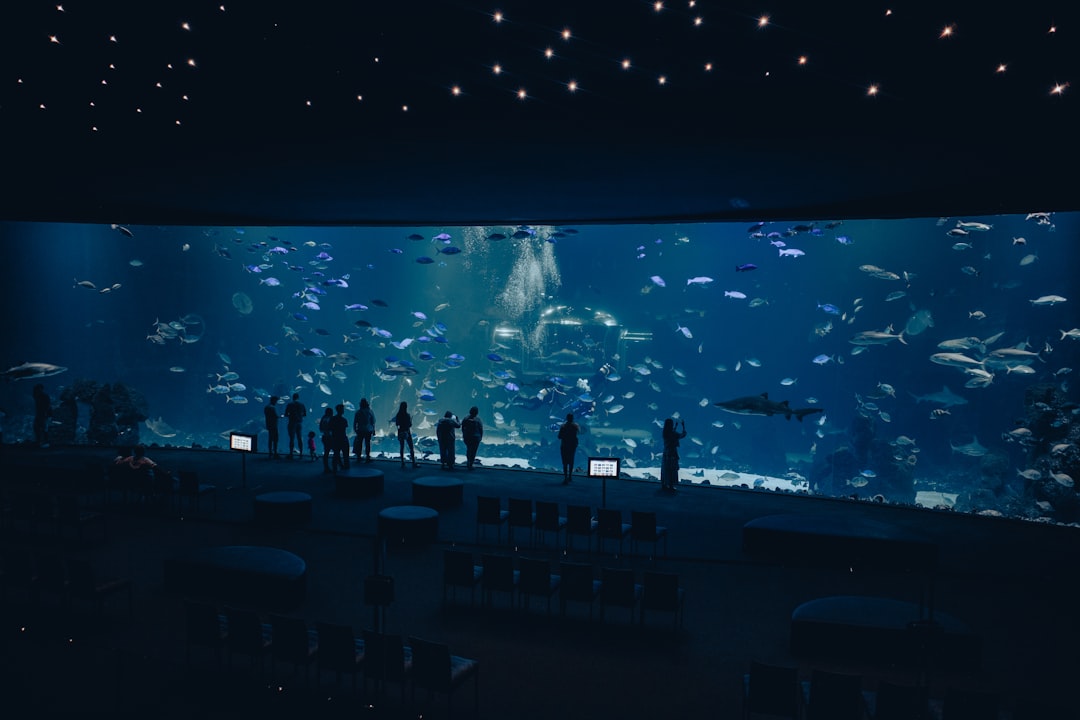 Bezoekers Artis wachten uren voor de poort op opening vernieuwd aquarium: ’Ik was om vijf uur wakker van de spanning’