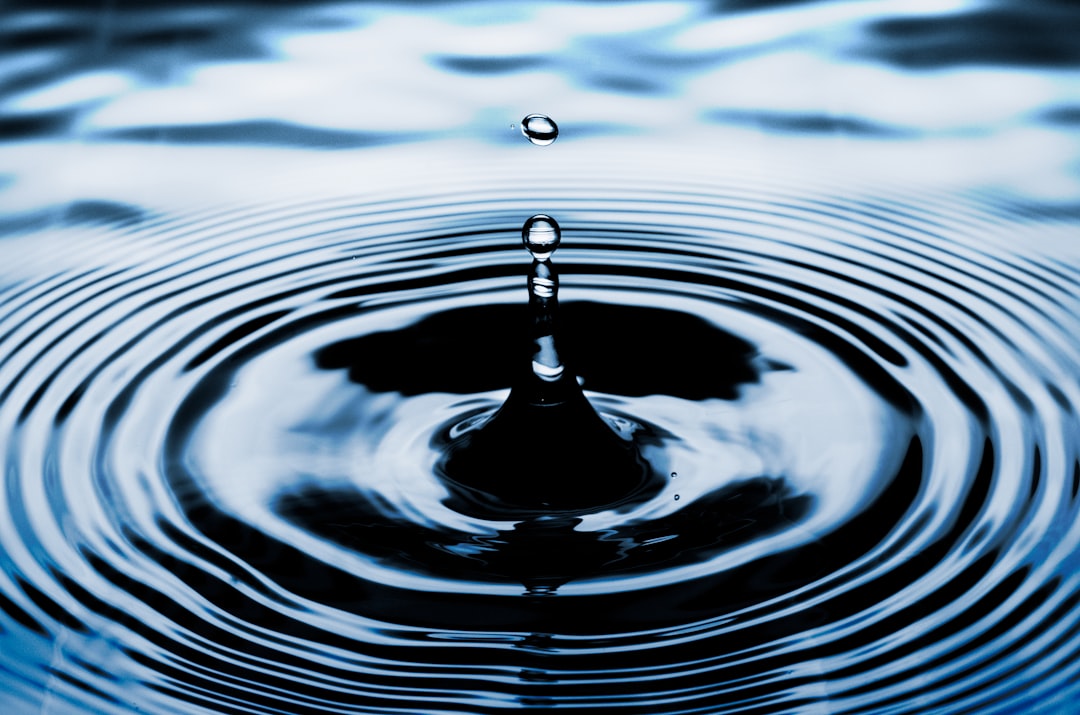 Nitraatsensoren geven waterschap beter zicht op waterkwaliteit