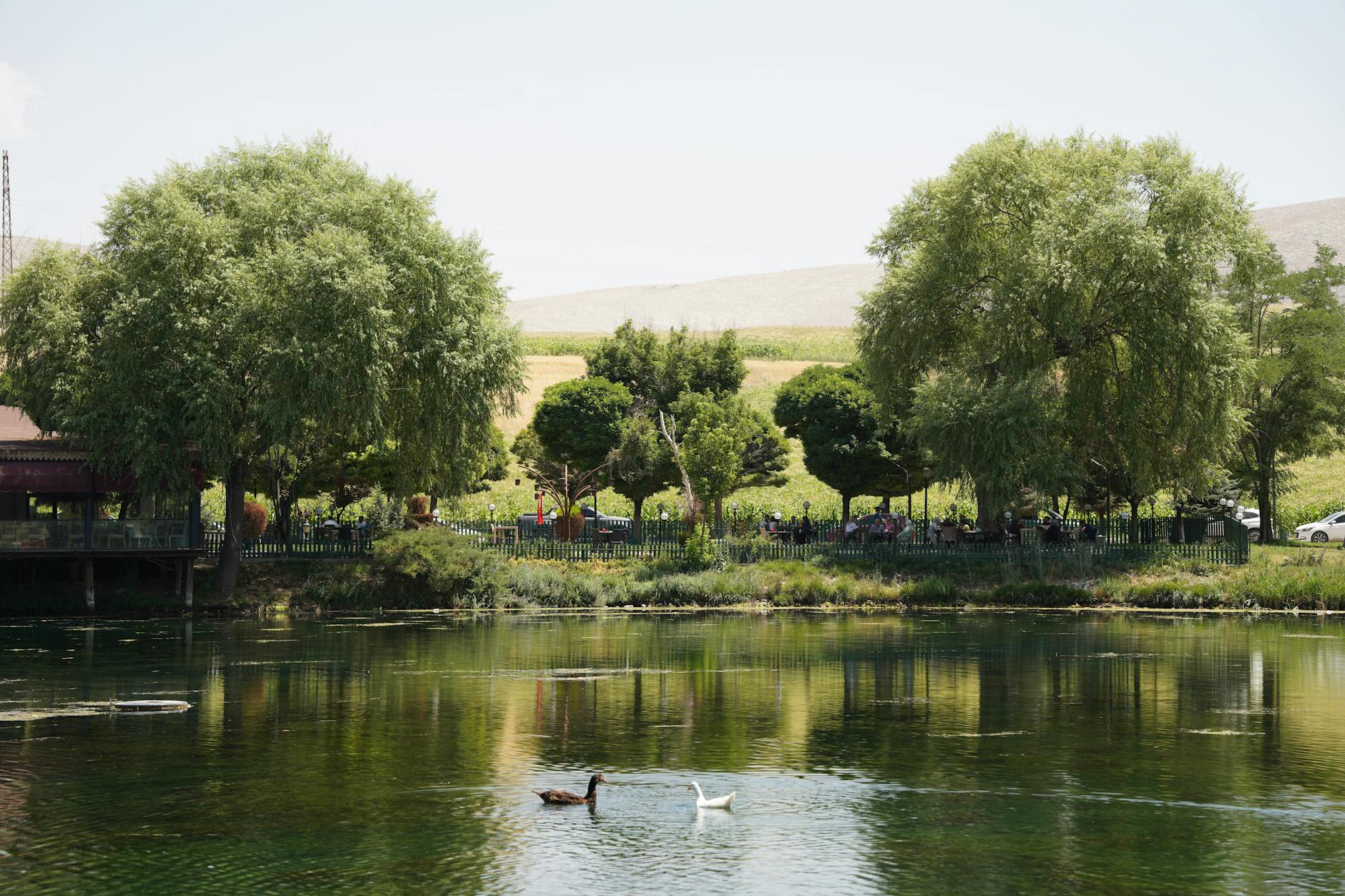 Prachtige zondag aan de Plas
