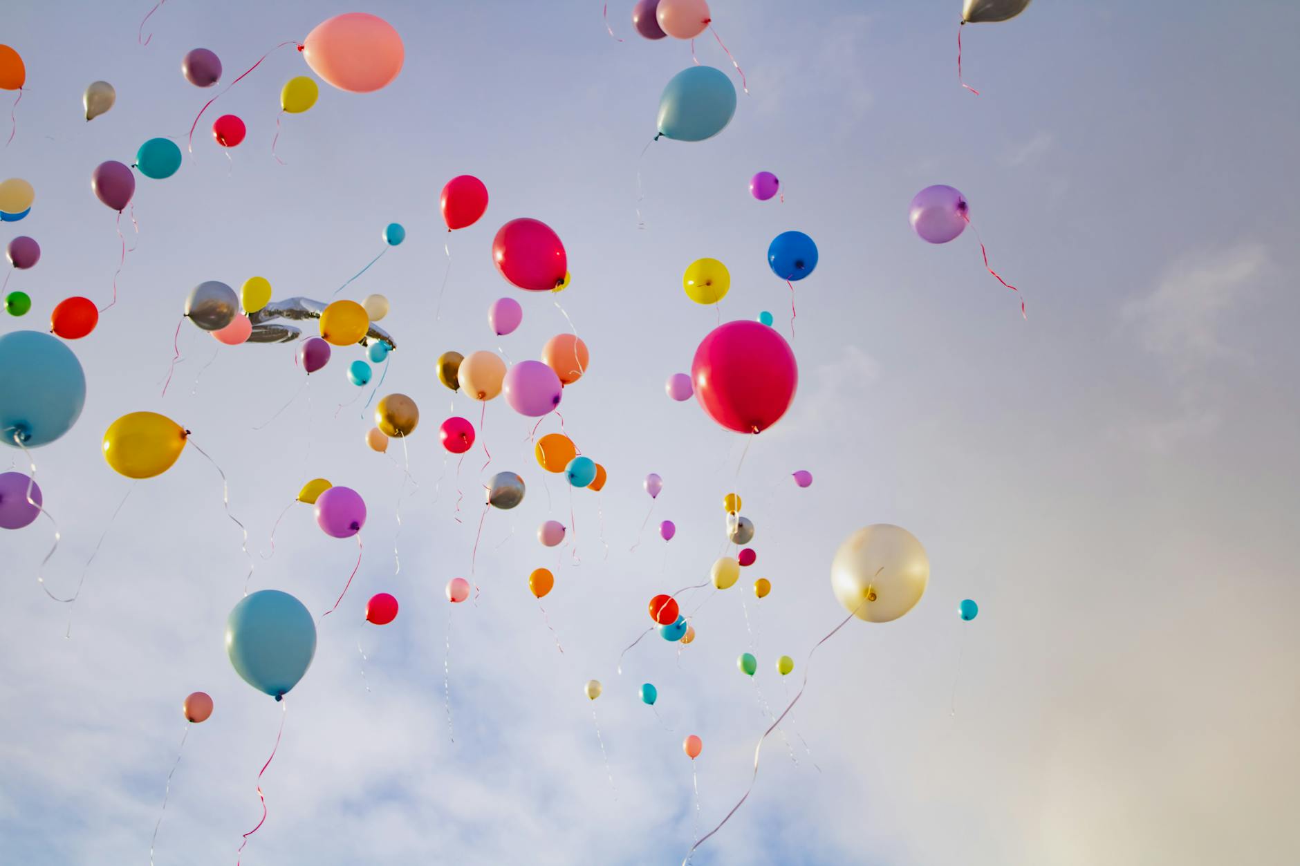 Ruim honderd met helium gevulde babypinguïns nemen de Kunsthal over