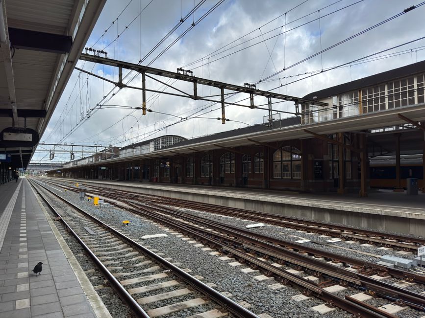 Nog één keer geen treinen op Rotterdam Centraal: station sluit op 7 en 8 november