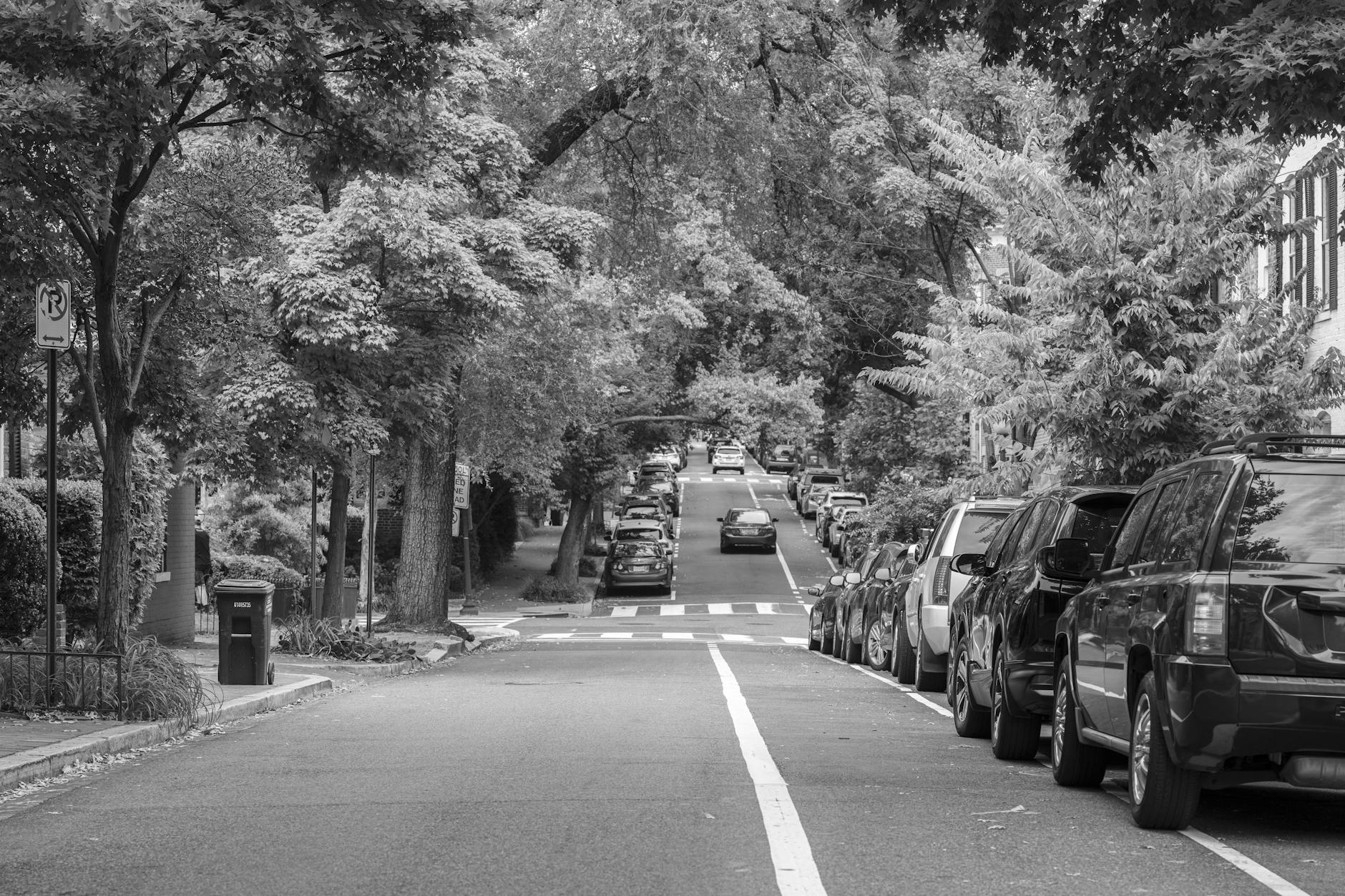 GMS, instellen parkeerschijfzone. gmb-2026-219906