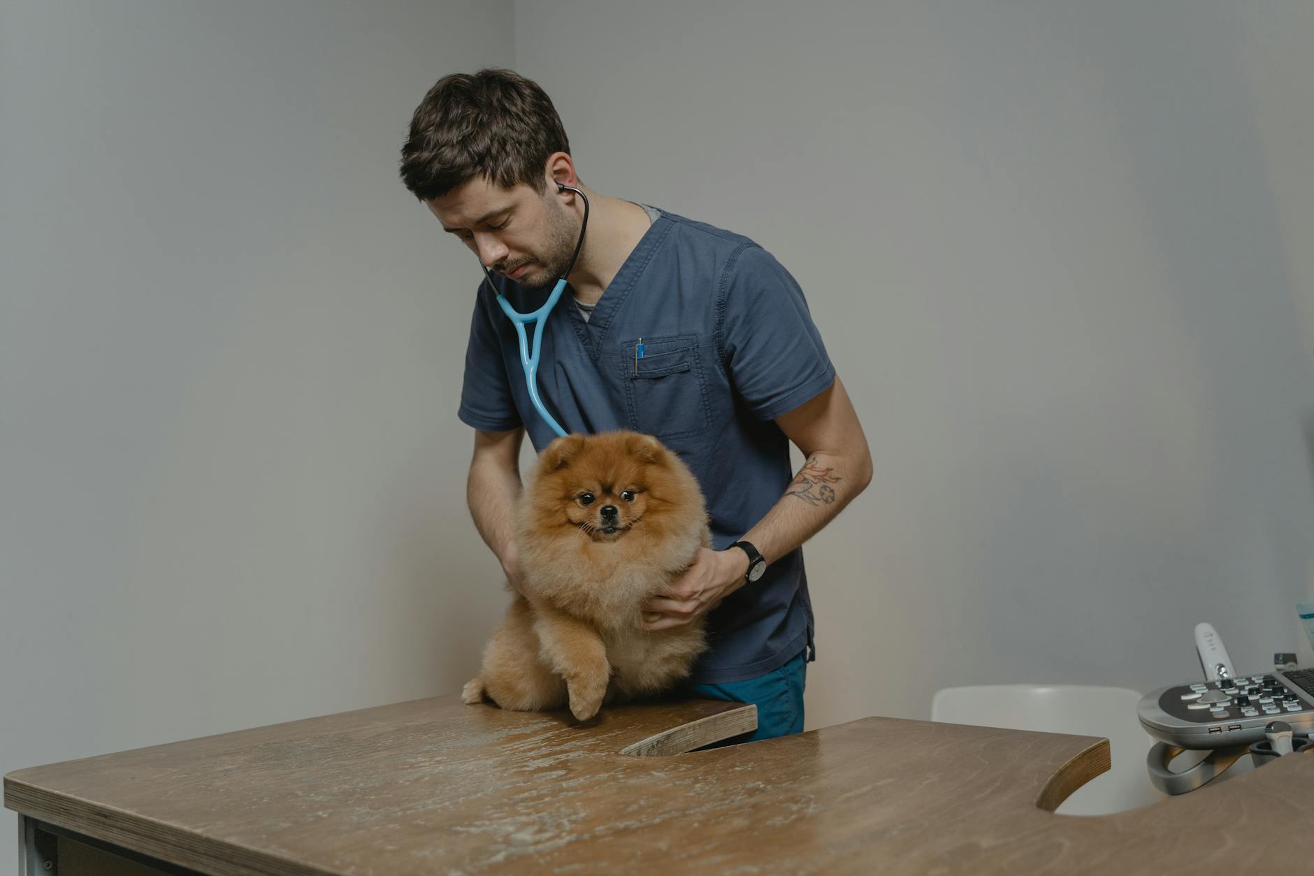 Aanvraag evenementenvergunning voor Opendag Dierenkliniek Rijnoever op 11 juli 2026 aan Evenaar 178, 2408 JT Alphen aan den Rijn gmb-2026-226960