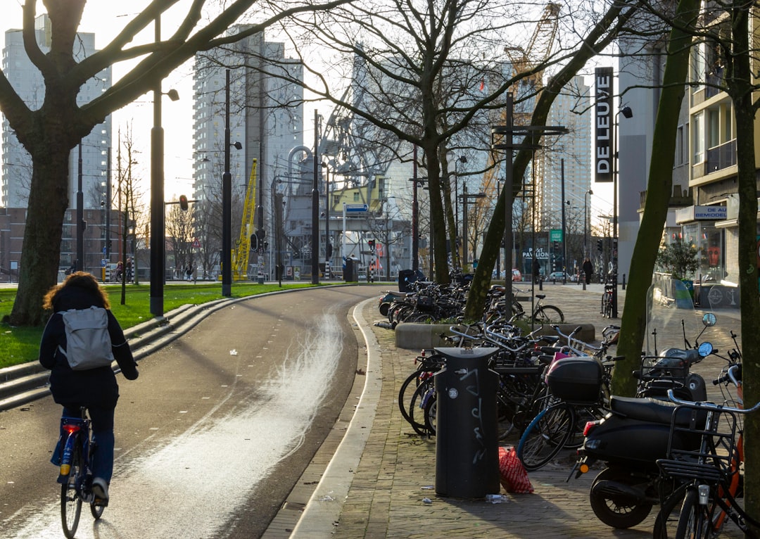 Mooi doorkijkje bij het Park