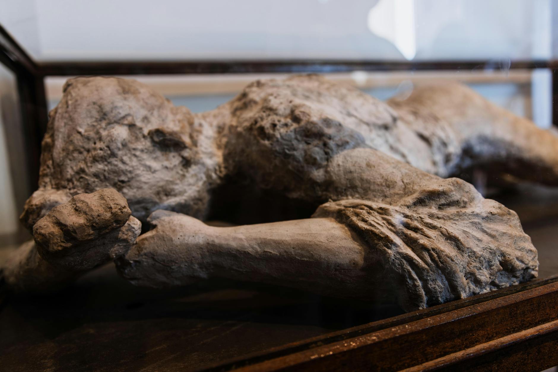 Zelf als archeoloog aan de slag? Dat kan alléén vandaag op deze mooie expositie in Odijk