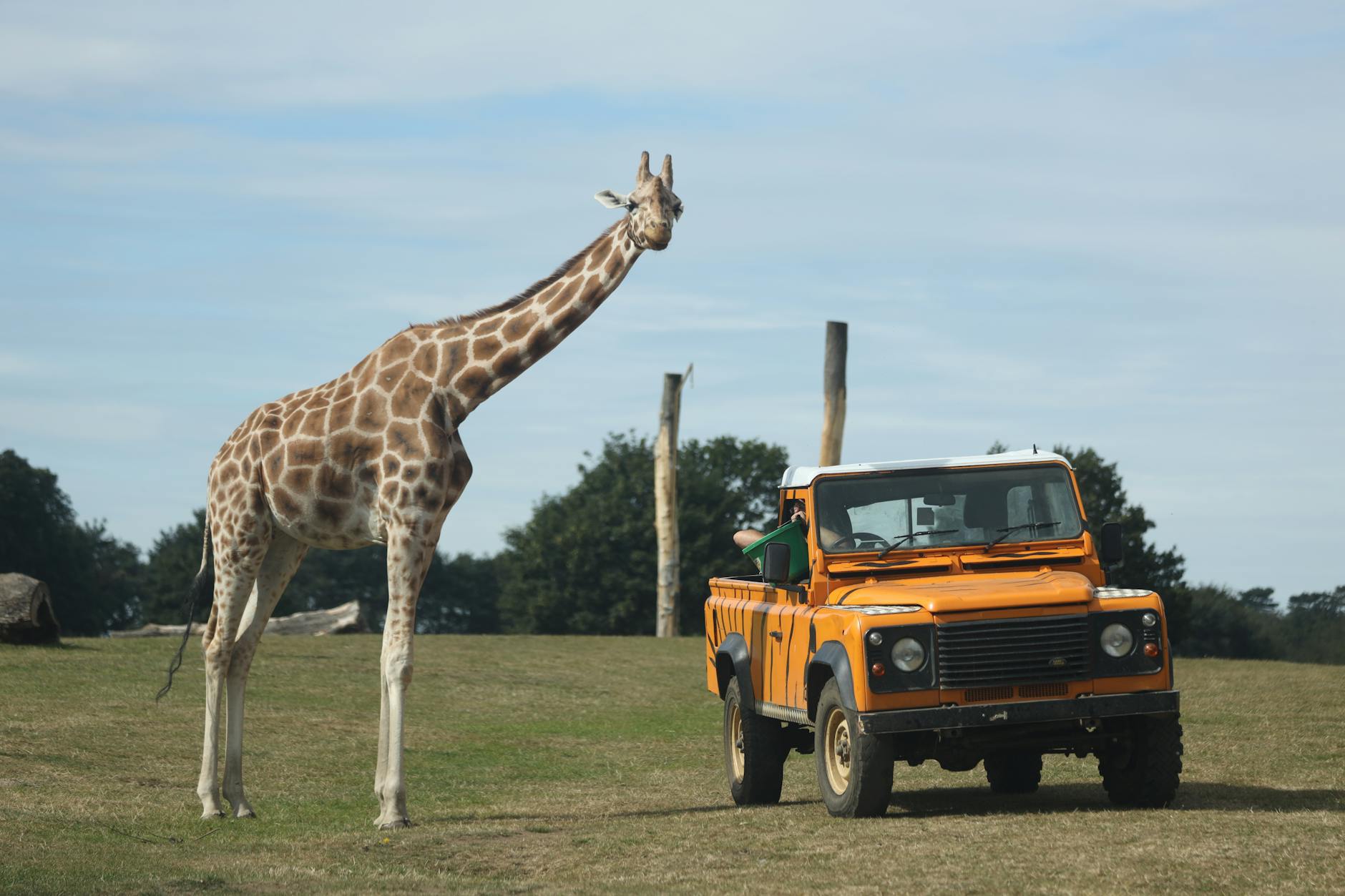 Rotterdamse ondernemer bouwt gigantisch safaripark in Zuid-Afrika: 'Anderhalve keer groter dan Rotterdam'