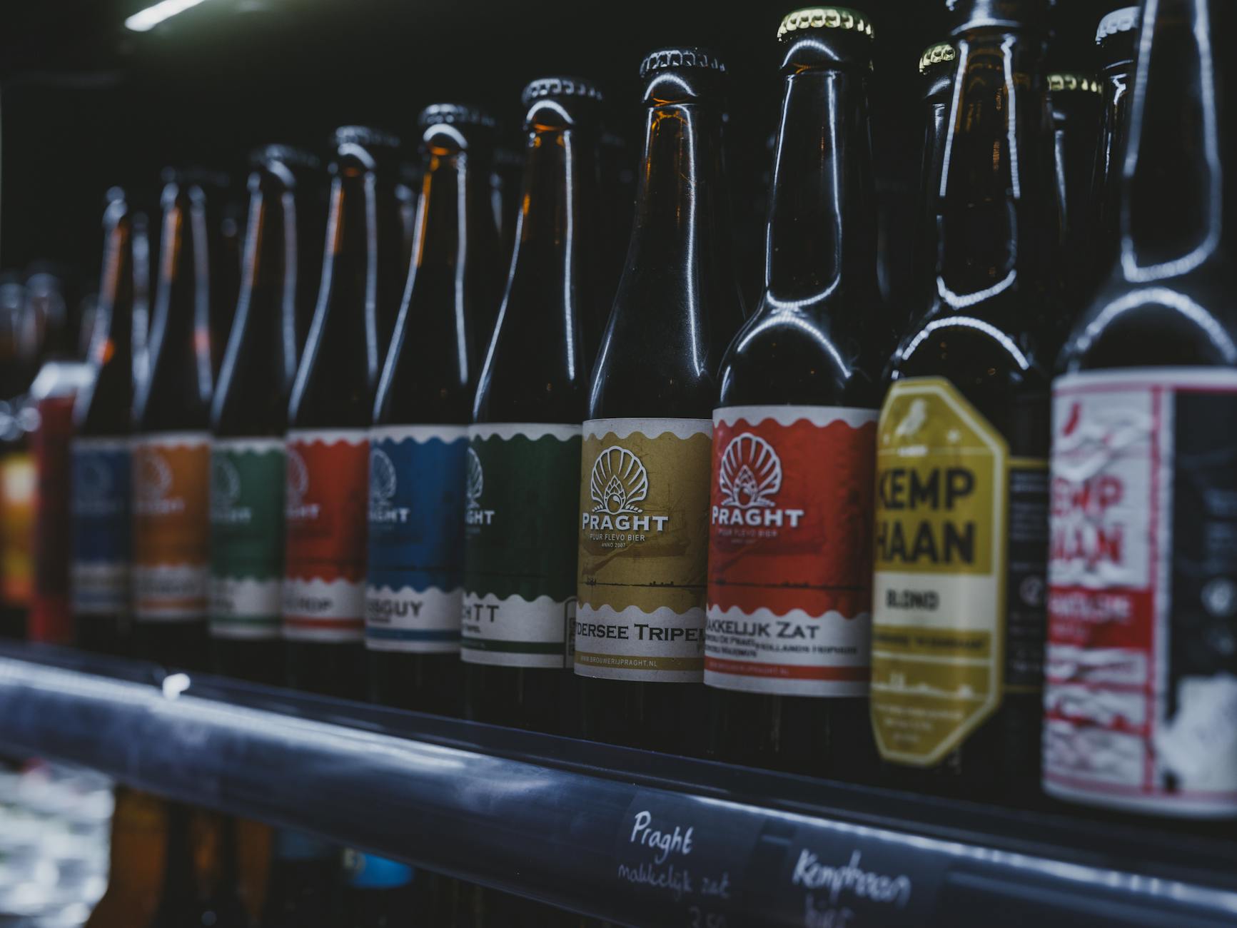 Broers Ralph en Korstiaan maken een Gouds biertje: ‘Met de achternaam  Brouwer moest het er ooit van komen’