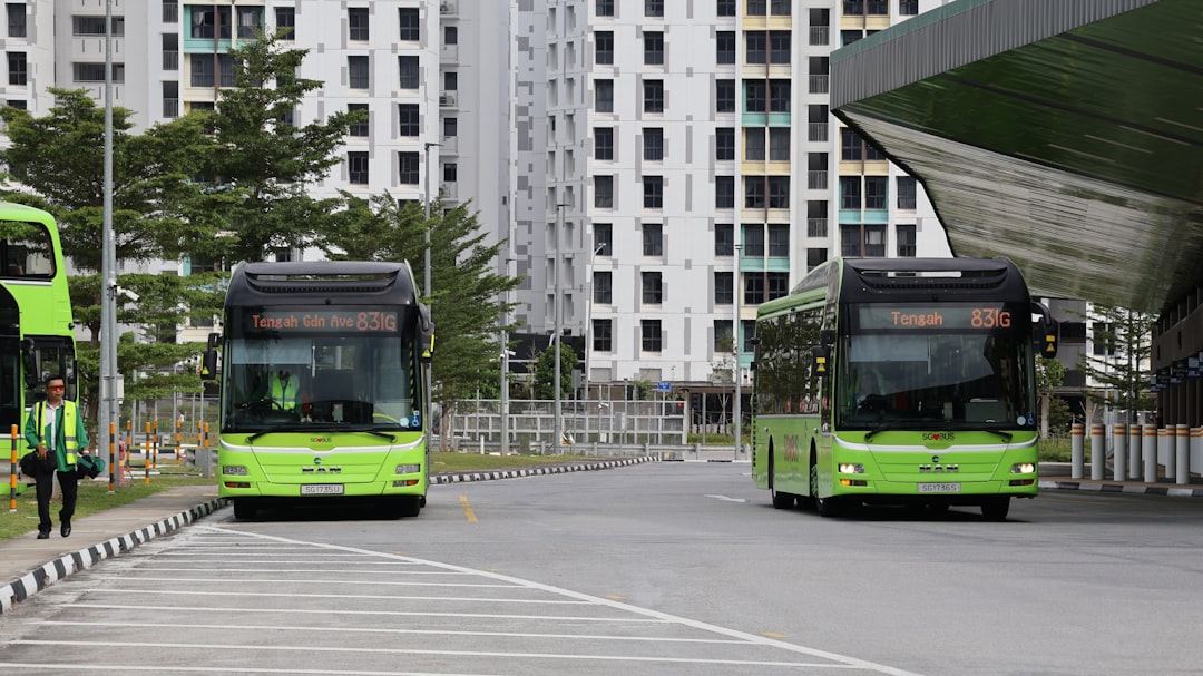 Openbaar vervoer in Waddinxveen: in drie jaar meer haltes, meer bussen - AD.nl