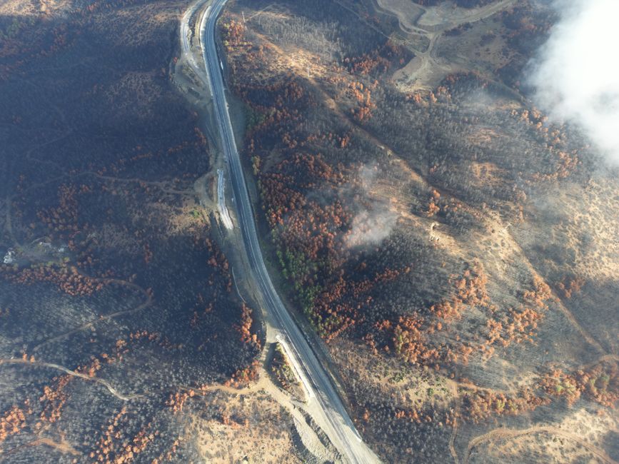 Snelweg in richting Rotterdam afgesloten omdat de berm in brand staat