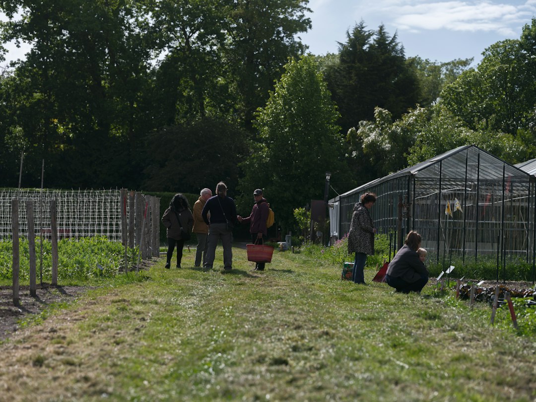 Burgers kunnen mee landbouwgrond kopen voor gemeenschapsboerderij in Leest