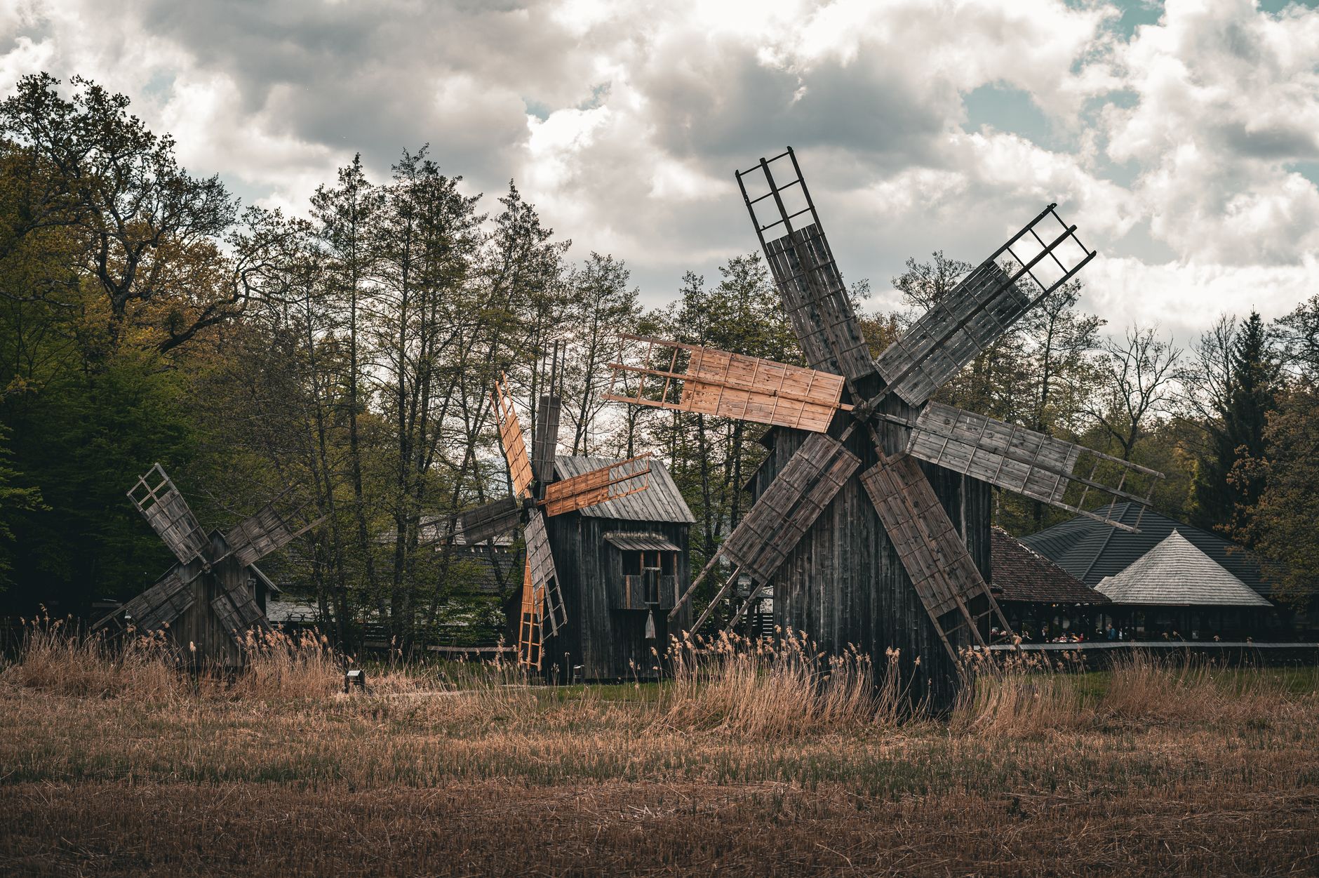 Peel en Maas stemt in met voorbereiding verplaatsing molen Kessel - Omroep P&M