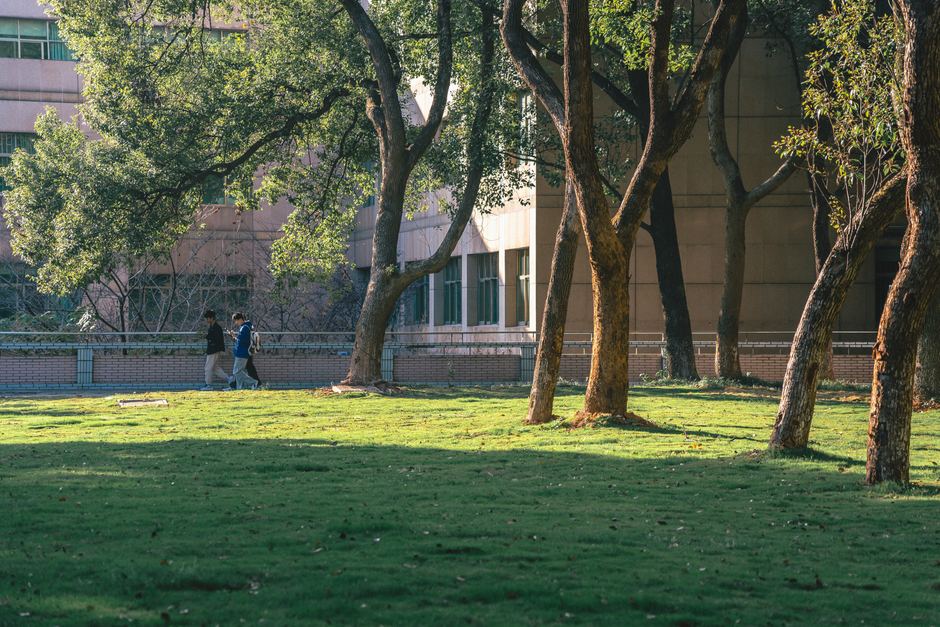 UM in Bloom - Space for nature on campus: what is your vision?