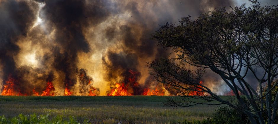 Grote bermbrand langs A16 bij Hendrik-Ido-Ambacht