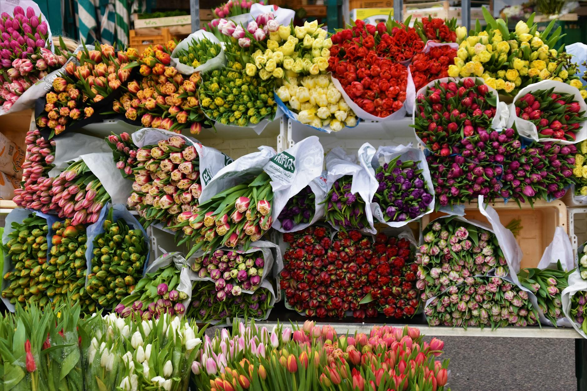 Moederdag Voorjaarsmarkt op Vlietplein