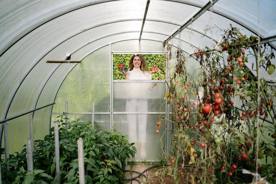 Gas was nog nooit zo duur maar tomatenteler Petra voelt de prijsstijging nauwelijks