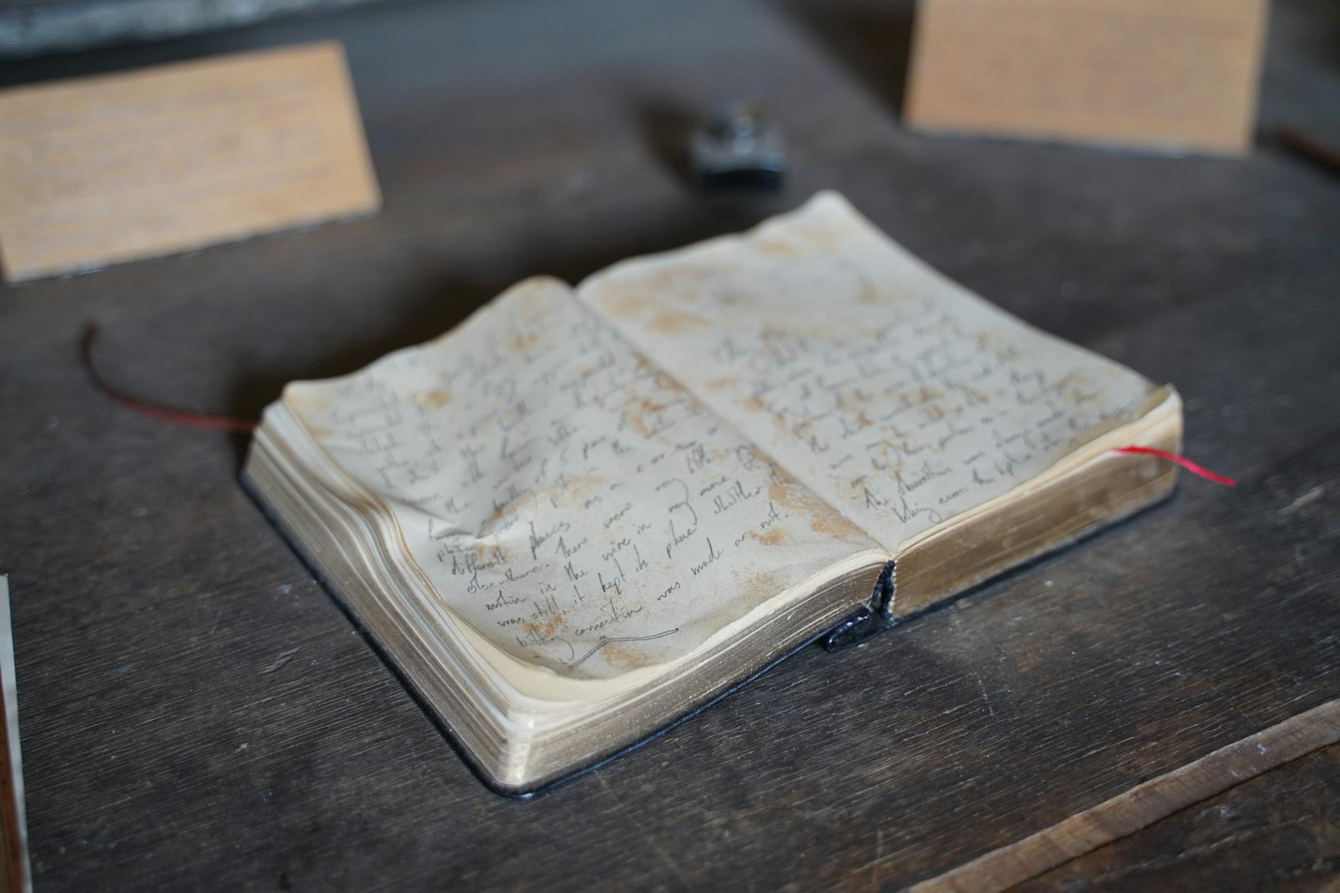 Museum Fenix al jaar lang anoniem bezitter van zeldzaam dagboek van Anne Frank: 'Voelt passend'