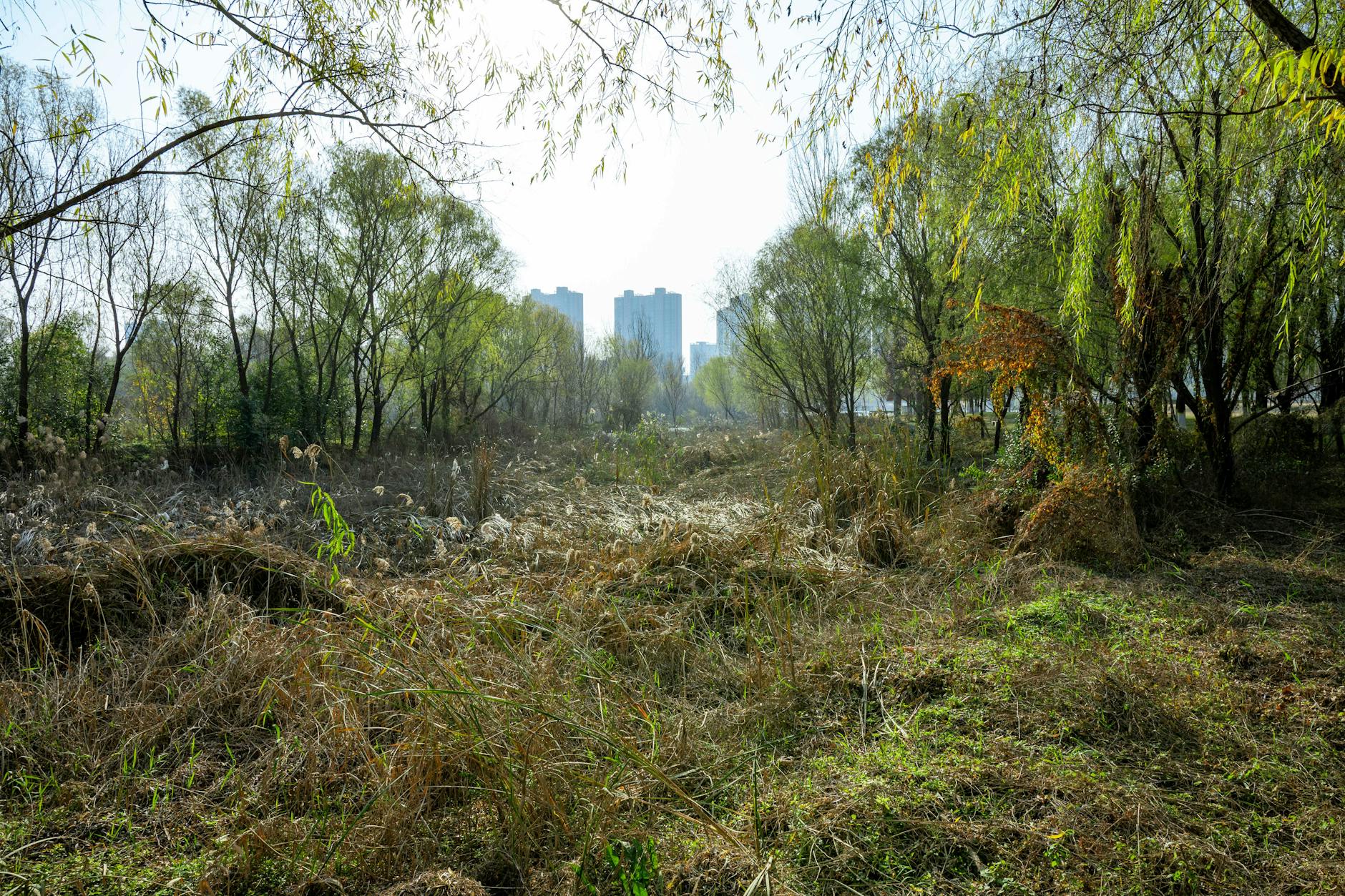 Gemeente onderzoekt groen en dieren op Tarwekamp 3