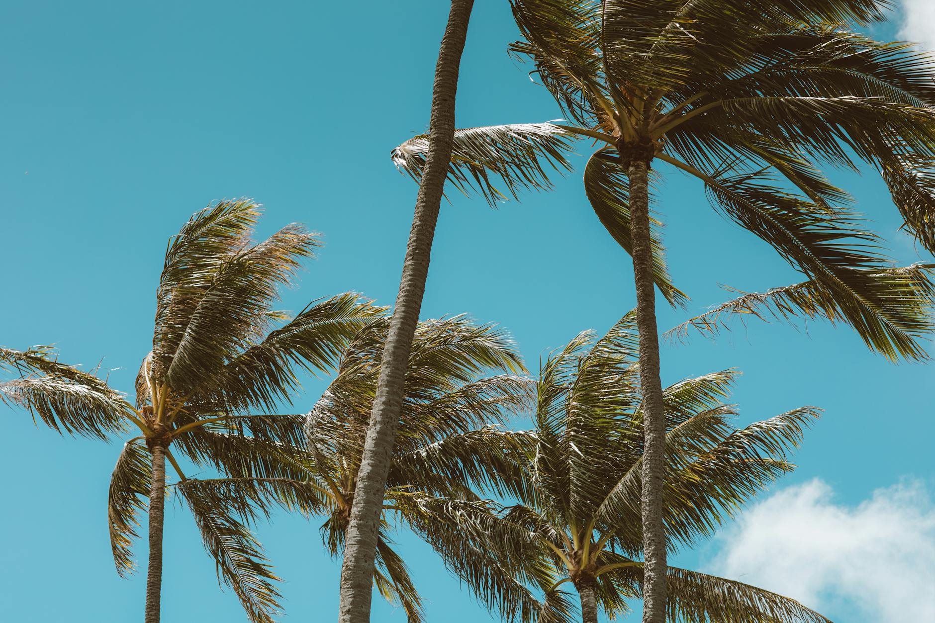 Het weer van vandaag: zonnig en vlagerige wind
