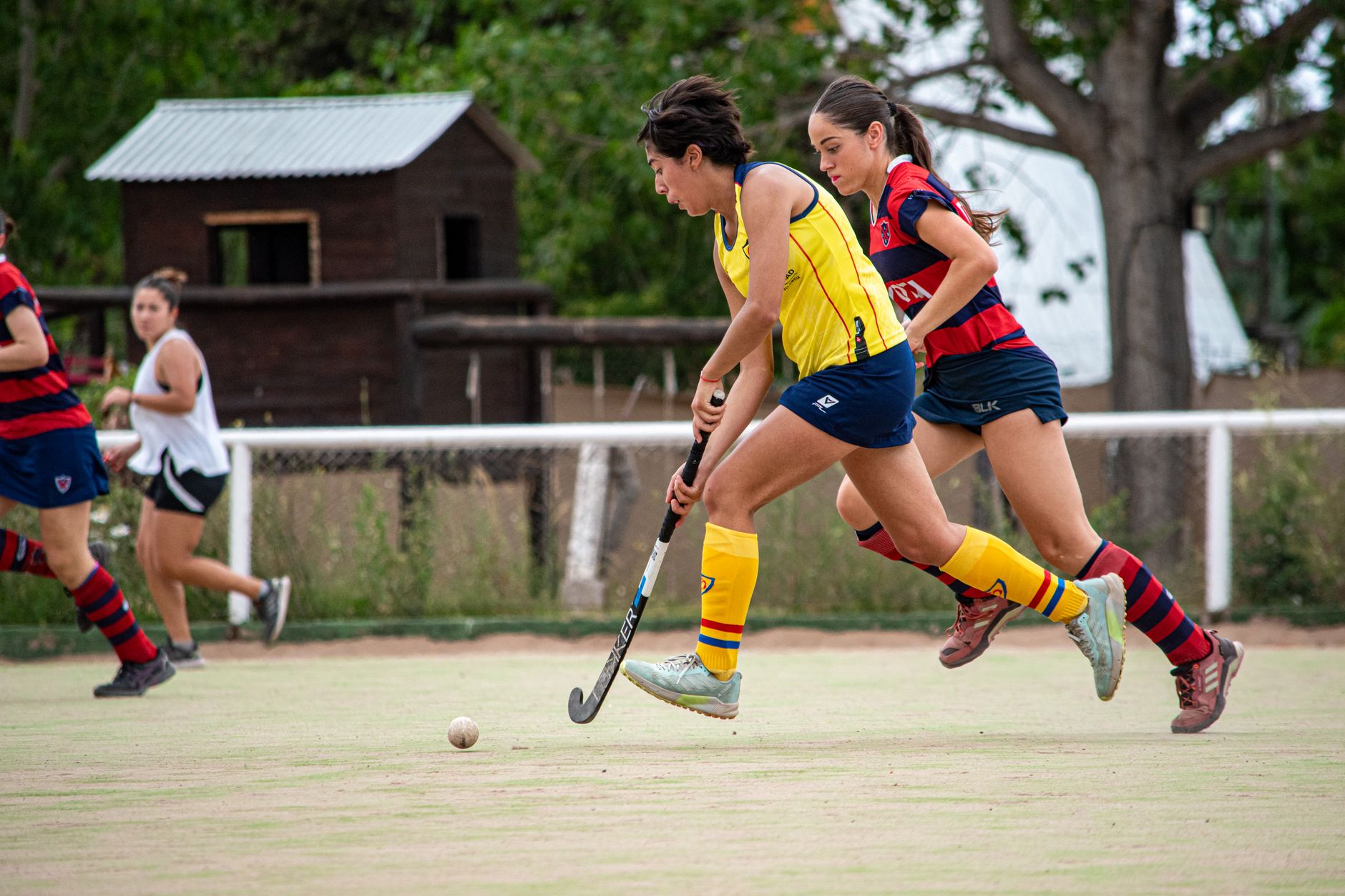 Geen landstitel voor hockeysters Den Bosch