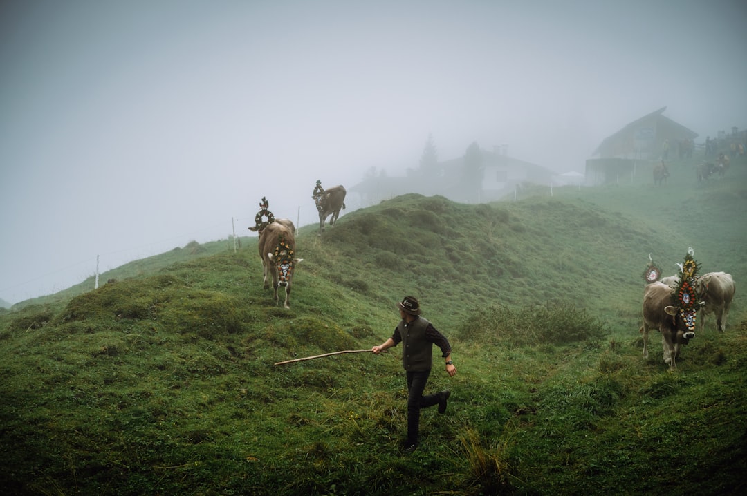 Video | Honderden The Hobbit-fans spelen beroemde veldslag uit fantasyboek na