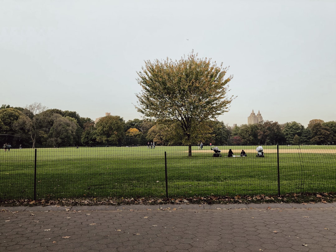 Rotterdammers genieten massaal in Het Park: kleedjes, snacks en zonplezier