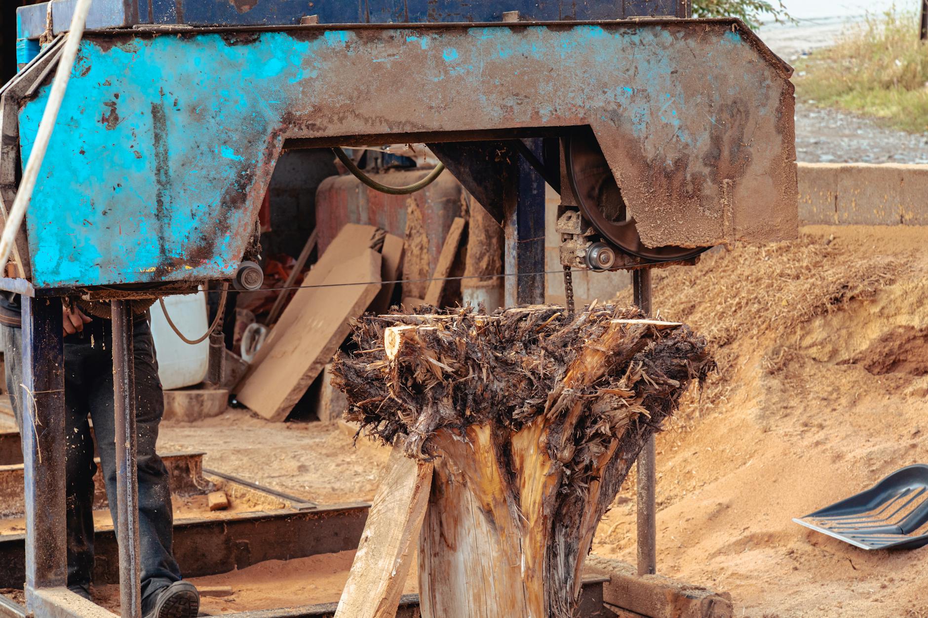 Aangevraagde omgevingsvergunning, nabij de Van Brienenoordstraat 20 3077AB Rotterdam, het kappen van 43 bomen vanwege zorgplicht, Z2026-005674 gmb-2026-213411