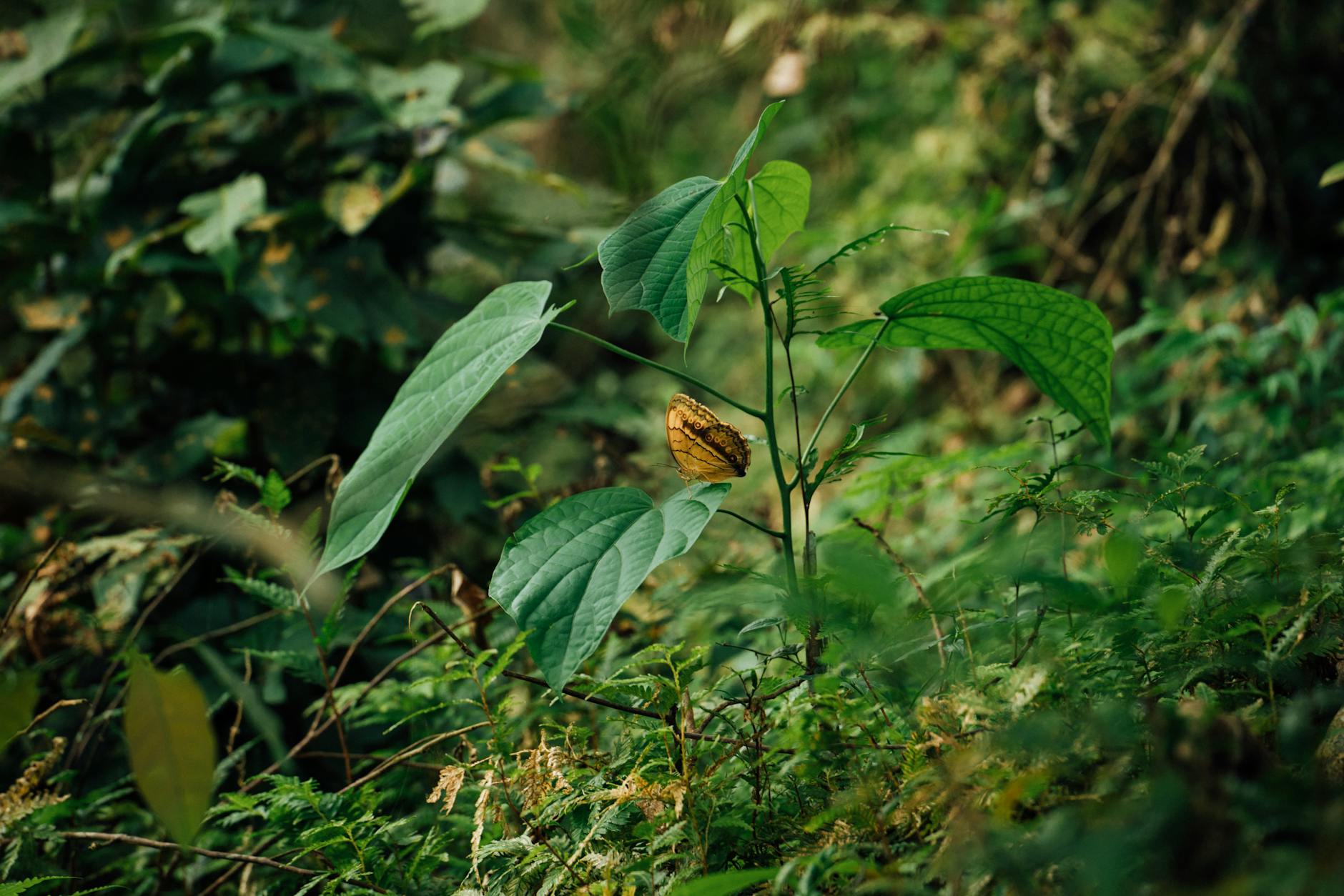 Aandacht voor de Groningse natuur tijdens Week van de Biodiversiteit