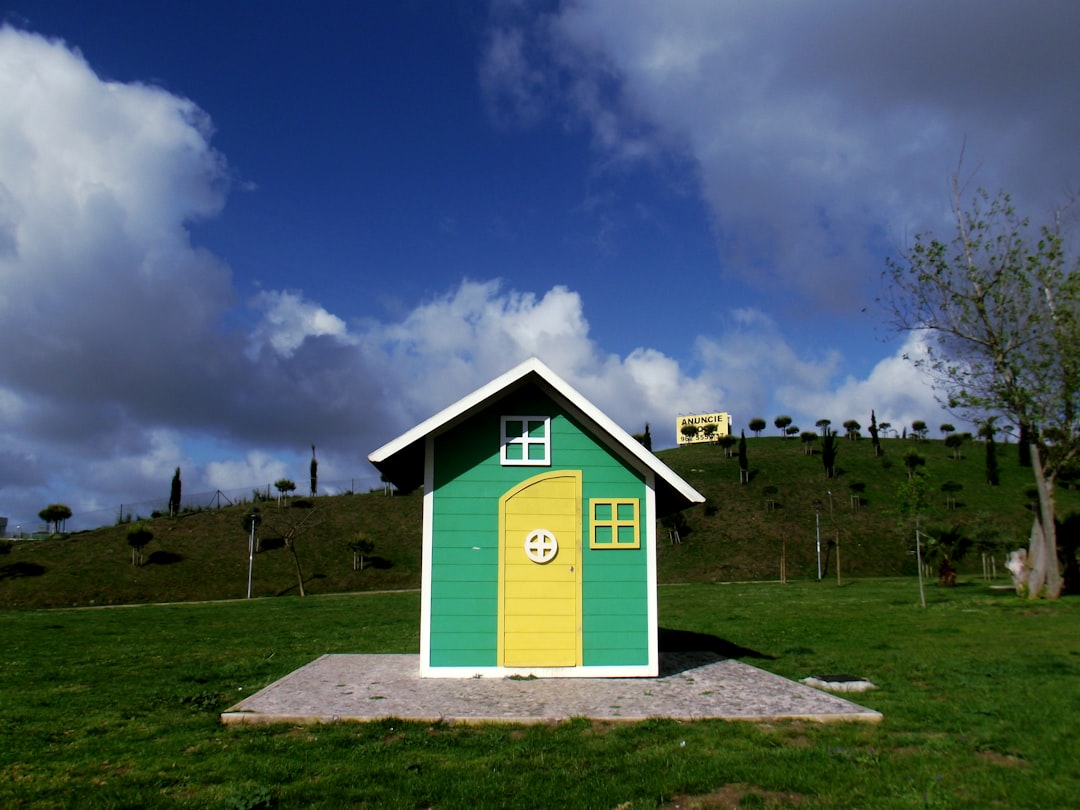 Domein Kiewit in Hasselt viert 50-jarig bestaan met tiny house tussen de dieren en het groen - VRT