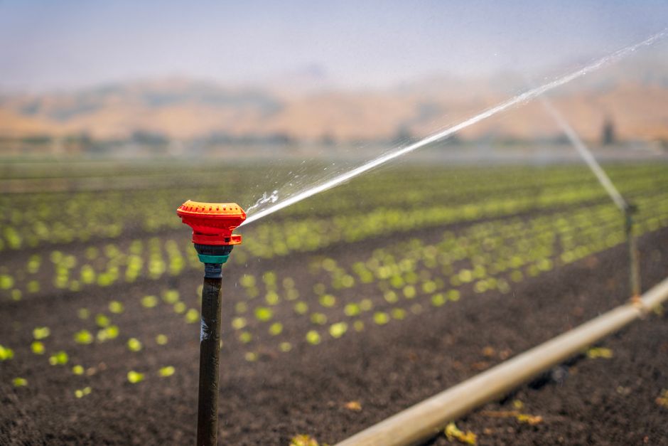 Proef moet uitwijzen of er meer zoet water naar Reimerswaal kan