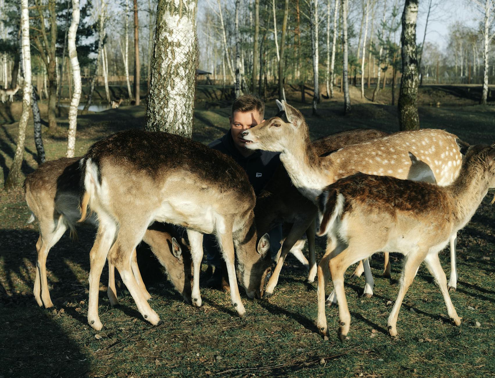 Mens en dier: bijzondere duo’s in het Kralingse Bos