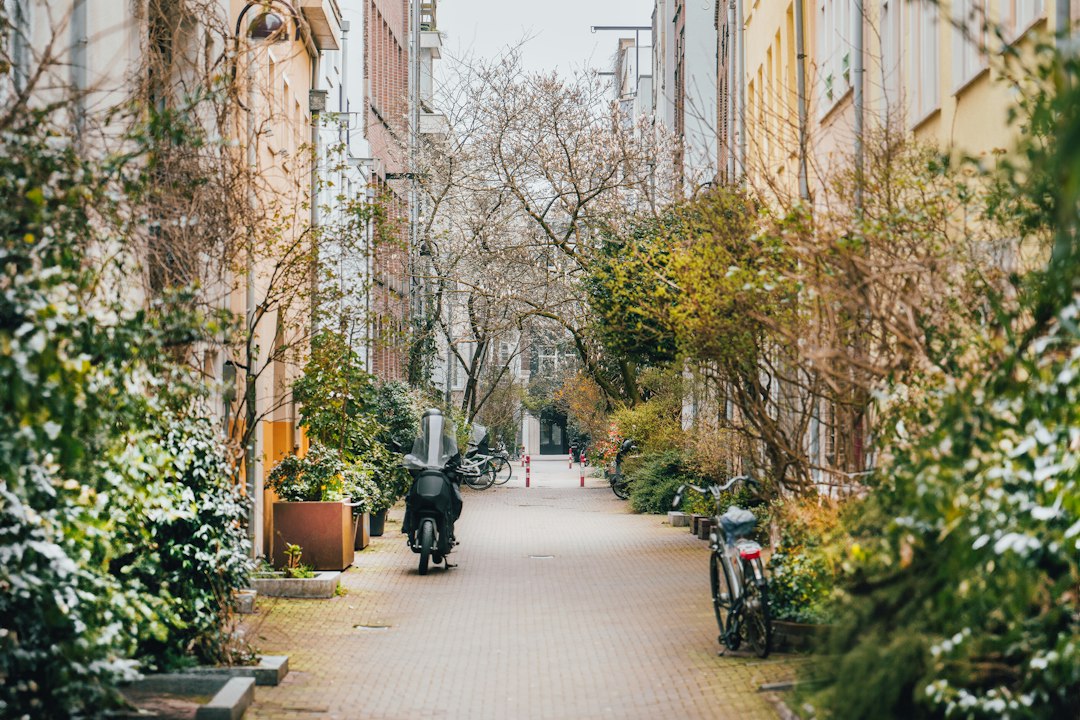 Zaterdag Groenwethouder Berkhout gaat ’enorme poging wagen’ om te zorgen dat Haarlem niet meer de meest versteende stad is van Nederland